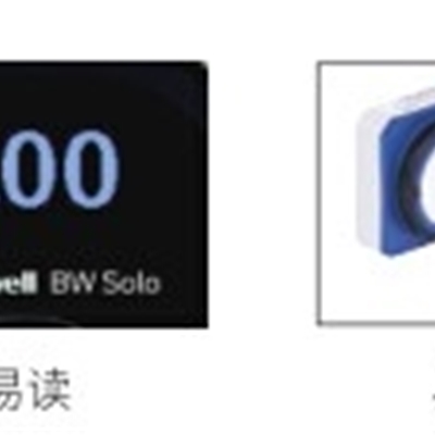 ?solo硫化氢报警器BWS2-H-Y