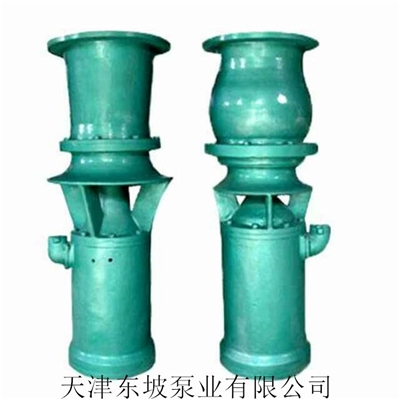 防汛排涝轴流泵