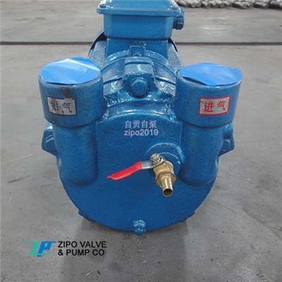 自贡自泵2BV水环式真空泵