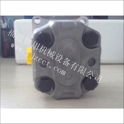 111.20.276.00丹佛斯齿轮泵