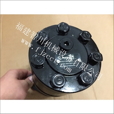 德国怀特齿轮泵255290A1310AA