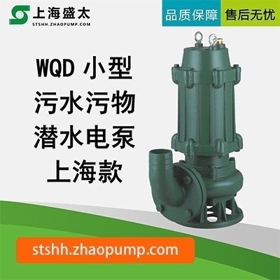 WQ(D)K污水污物潜水电泵