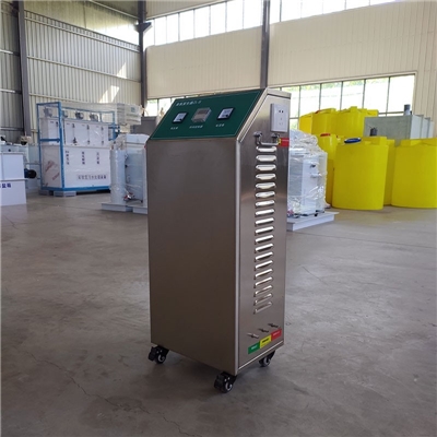 水处理大型臭氧发生器 工厂污水消毒设备