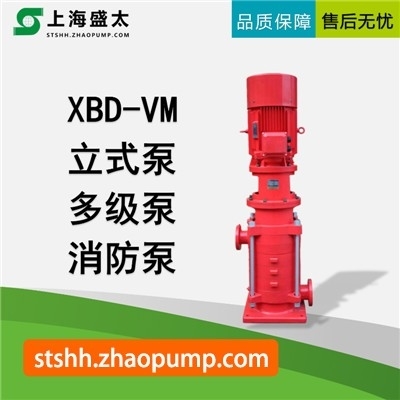 XBD-VM立式多级消防泵