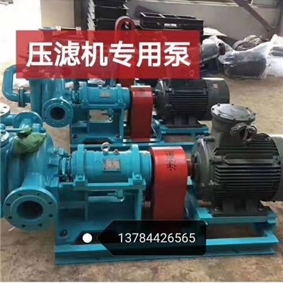 压滤机入料专业泵