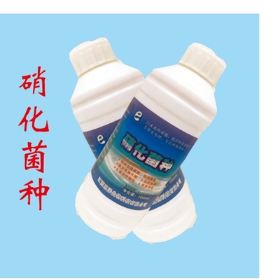 硝化菌种（液体）