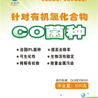 CO菌种