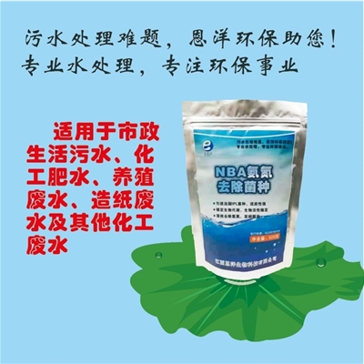 NBA氨氮菌种