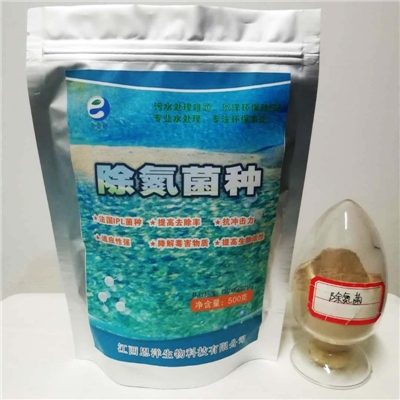 除氮菌种