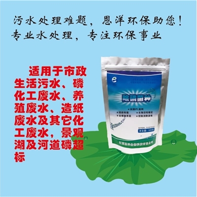 除磷菌种