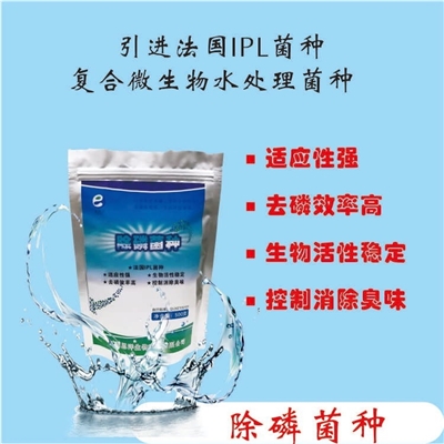 除磷菌种