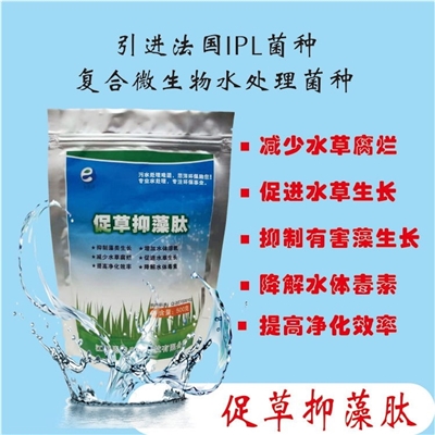 促草抑藻肽