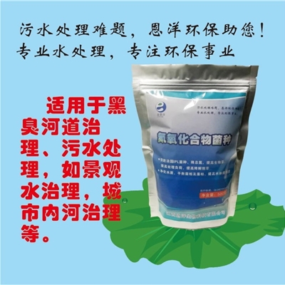 氮氧化合物菌种