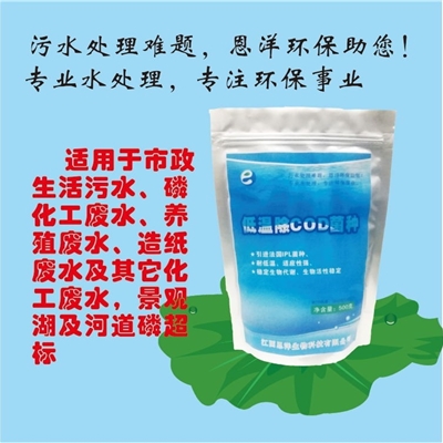 低温除COD菌种