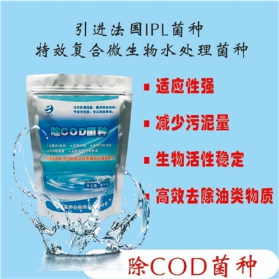 除COD菌种