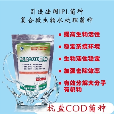 抗盐COD菌种