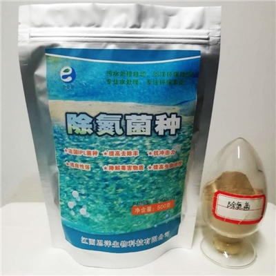 除氮菌种