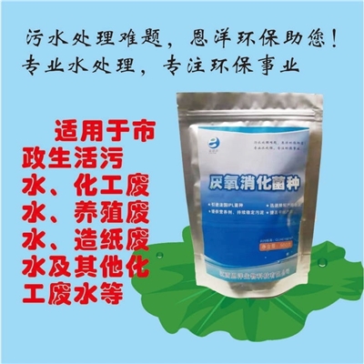 厌氧消化菌种