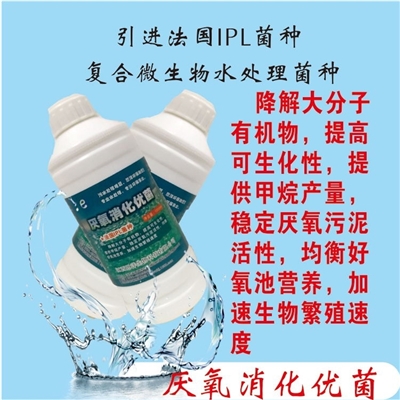 厌氧消化优菌