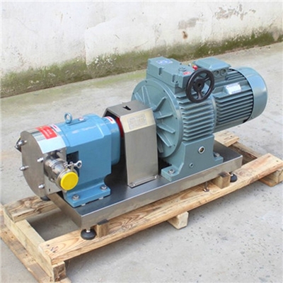 不锈钢食品泵  大源泵业