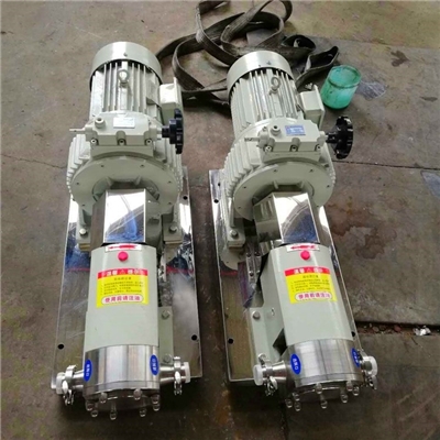 不锈钢食品泵  大源泵业