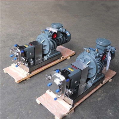 不锈钢食品泵  大源泵业