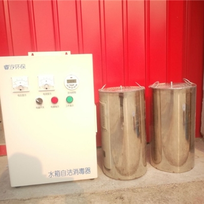 水箱臭氧发生器内 外式WTS-2B 臭氧含量10克全国发货