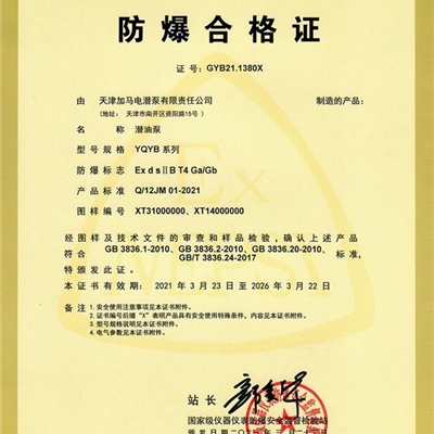 绿牌高扬程潜泵化工潜泵