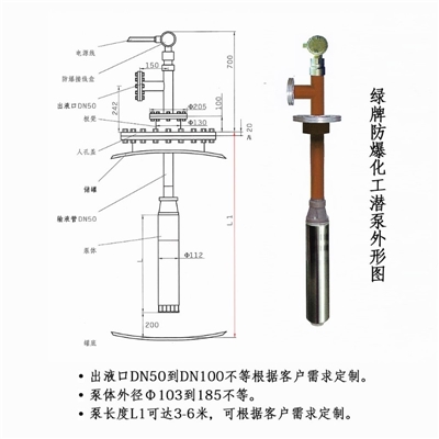 绿牌YQYB-180-45-3化工潜泵