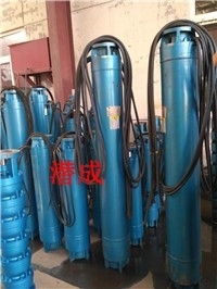 天津大流量卧式潜水泵-带有导流罩，支架使用的卧式潜水泵