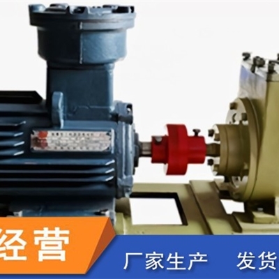 泰盛液化气叶片泵 齿轮泵 不锈钢泵