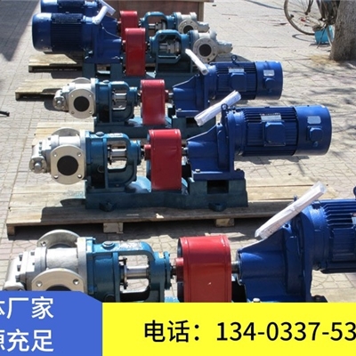 天一泵业NYP型高粘度泵 齿轮泵 高粘度沥青泵