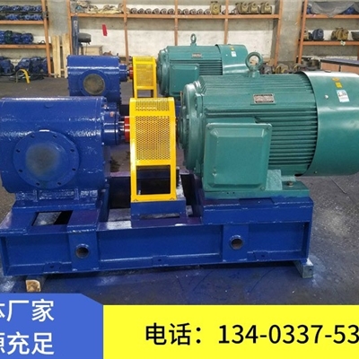 泊头天一BW2500保温齿轮泵 圆弧齿轮泵 体积小