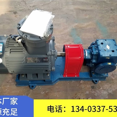 泊头天一BW2500保温齿轮泵 圆弧齿轮泵 体积小