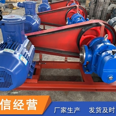 泊头泰盛供应罗茨泵 齿轮泵 规格定制