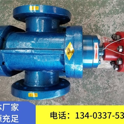 泊头天一LB型冷冻机泵 齿轮泵 安装方便