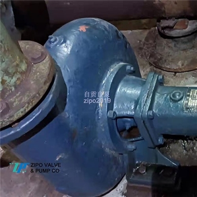 自贡自泵水泵2.5PW或4PW污水泵排污泵