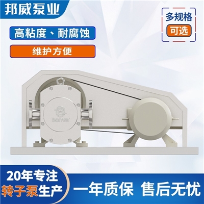 厂家直供凸轮式不锈钢转子泵  稠油输送泵 沥青输送泵