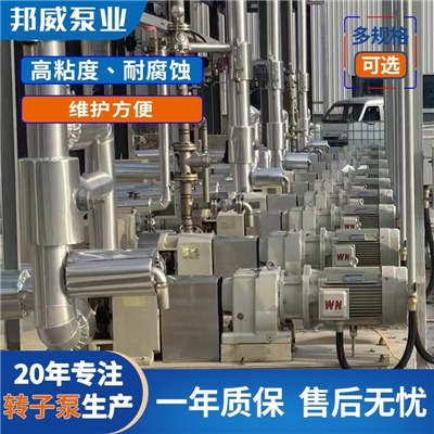 厂家直供凸轮式不锈钢转子泵  稠油输送泵 沥青输送泵