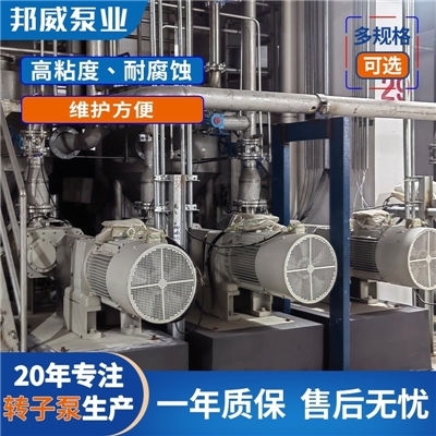 宁波邦威泵业厂家直供高品质凸轮式不锈钢双转子泵