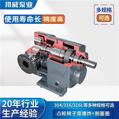 邦威泵业  不锈钢高粘度转子泵 粘稠液体输送泵
