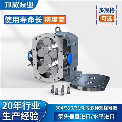 邦威厂家直供高品质不锈钢 V型 通用型卧式凸轮转子泵
