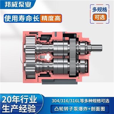 厂家直供 淀粉上料 造纸涂料高品质凸轮不锈钢双转子泵