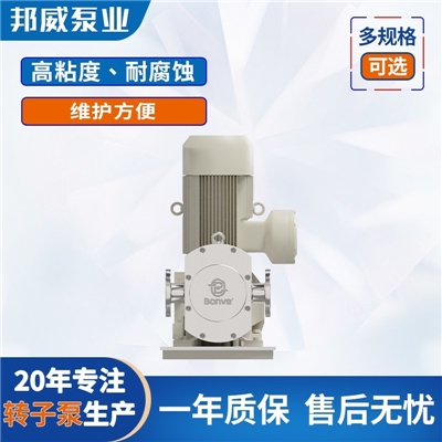 厂家直供 淀粉上料 造纸涂料高品质凸轮不锈钢双转子泵