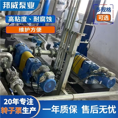 糖浆输送泵 糖蜜泵 物料泵 粘稠物料输送泵
