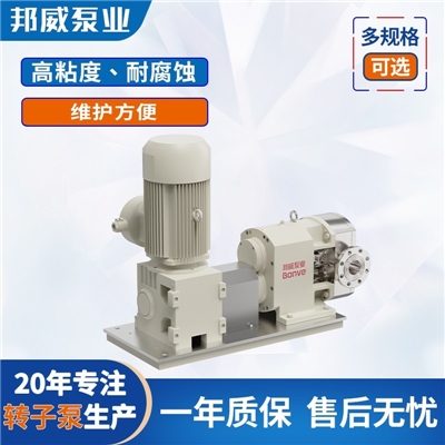 糖浆输送泵 糖蜜泵 物料泵 粘稠物料输送泵