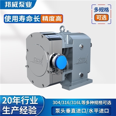 干/湿强剂输送泵 粉液混合输送不锈钢凸轮转子泵厂家